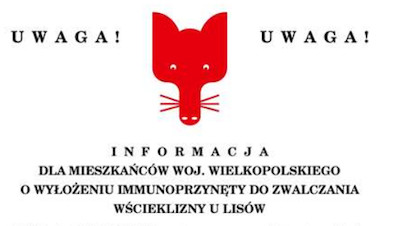 Uwaga! W lasach wyłożono immunoprzynętę do zwalczania wścieklizny u lisów