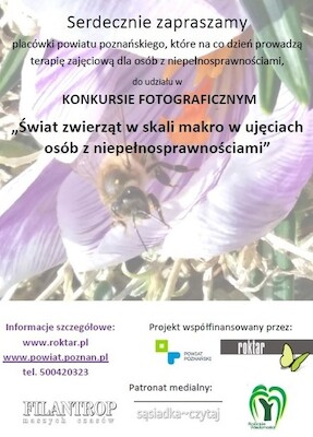 Konkurs fotograficzny