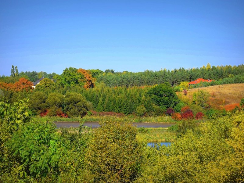 Pobiedziska - zdjęcie numer 7.