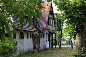 Suchy Las - zdjęcie numer 2.