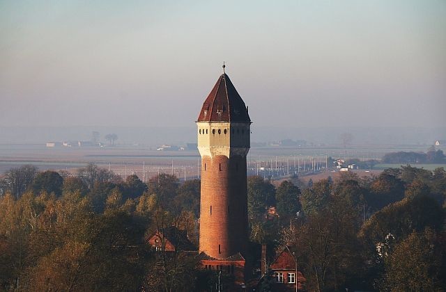 Buk - zdjęcie numer 3.