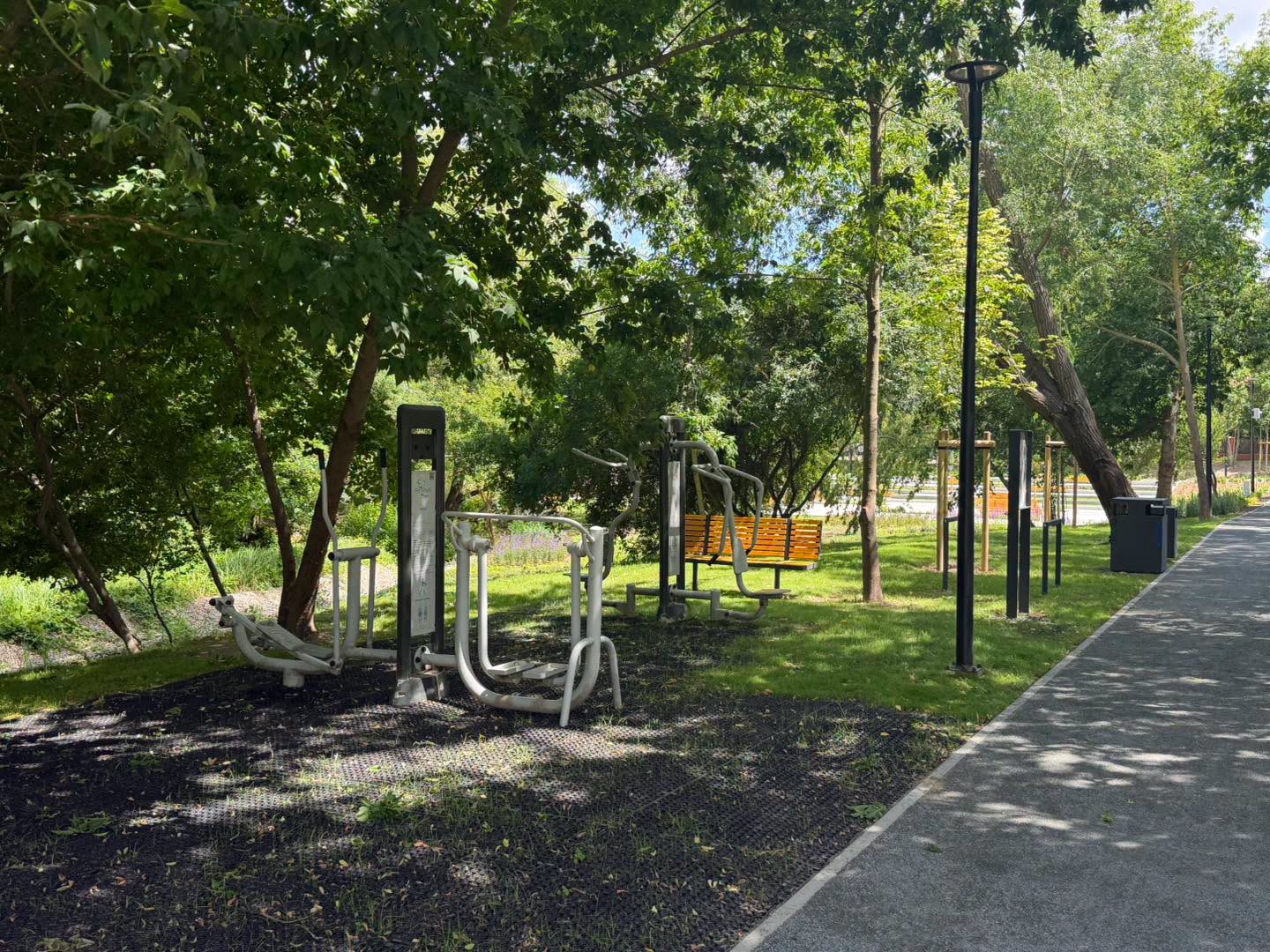 Park 600-lecia w Murowanej Goślinie