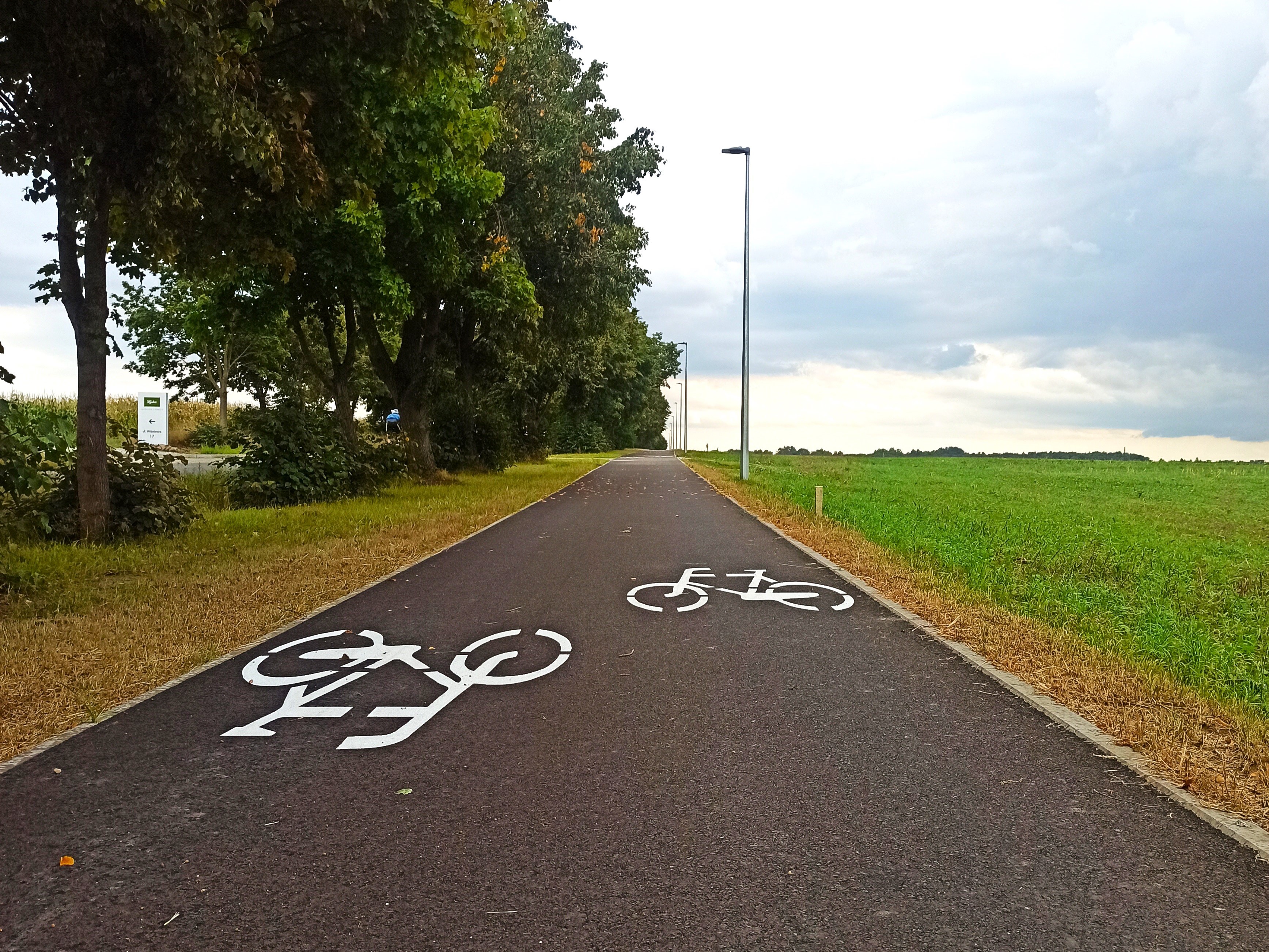 Droga rowerowa Jankowice - Rumianek