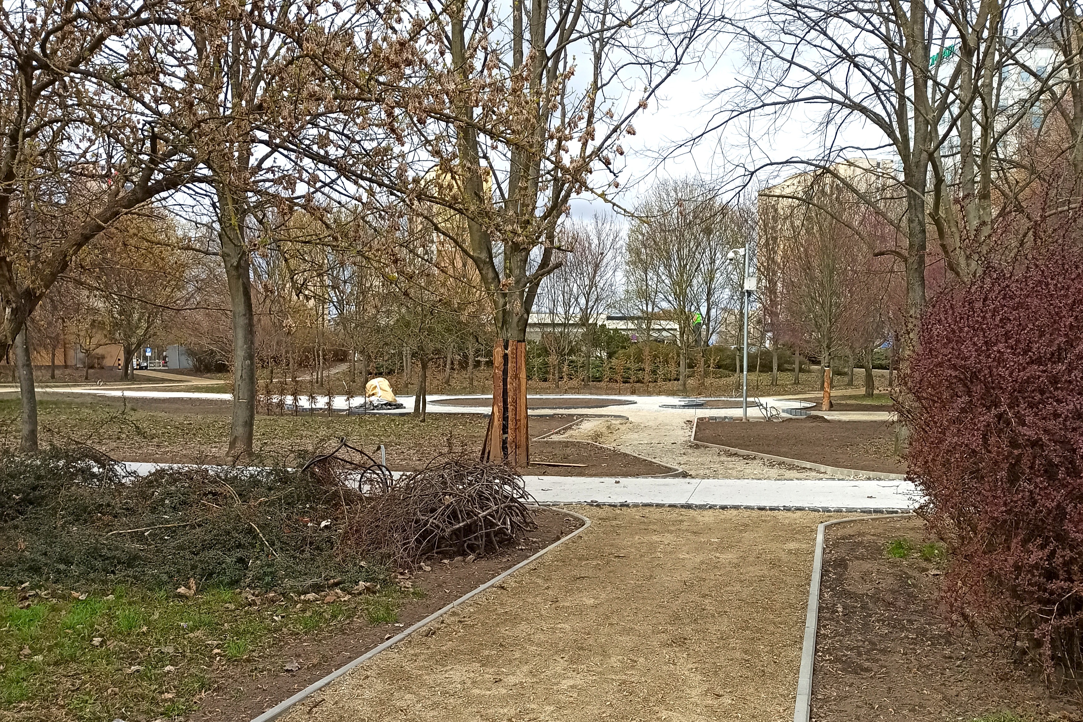 Fotografia przedstawia będące w budowie alejki i zieleń w Parku Czarneckiego