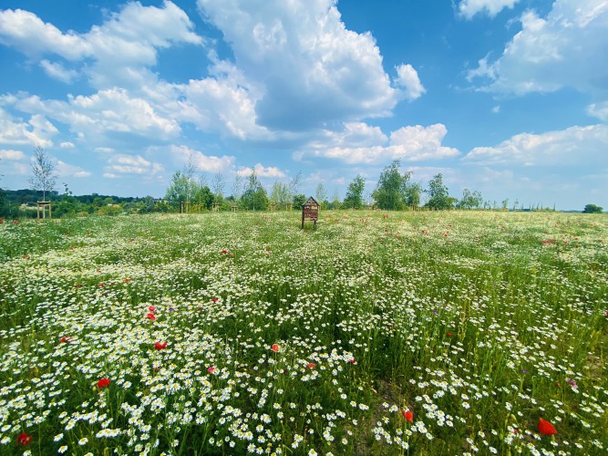Galeria zdjęcie #83