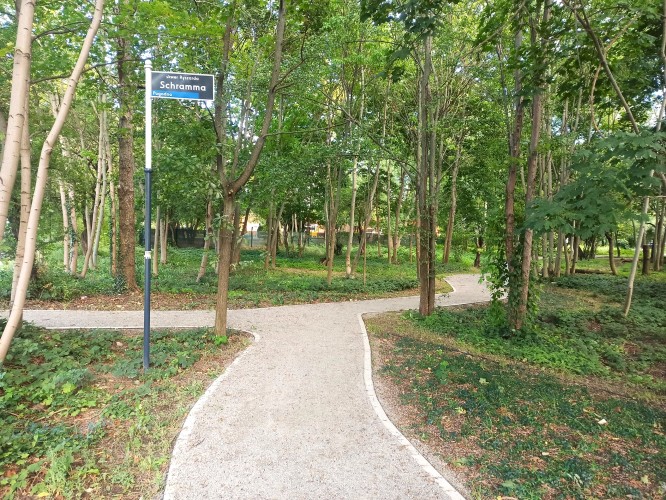 Elementy wspierające adaptację do zmian klimatu i mała architektura na terenie skweru