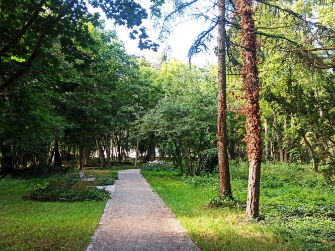 Elementy wspierające adaptację do zmian klimatu i mała architektura na terenie skweru