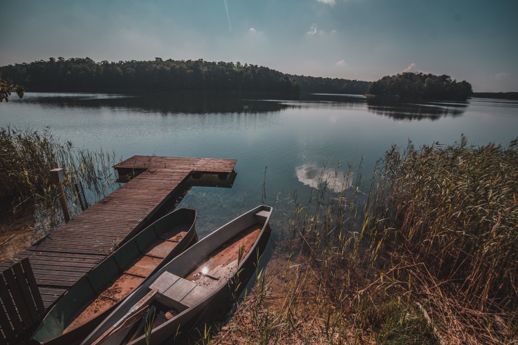 Galeria zdjęcie #93