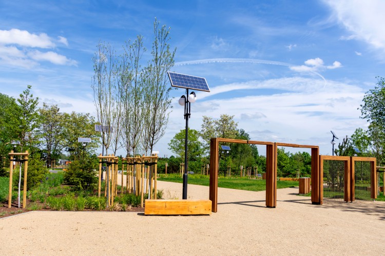 Galeria zdjęcie #121