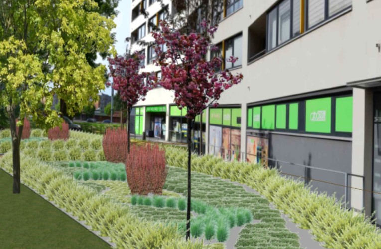 Skwer_Cieleckiej_02.2026