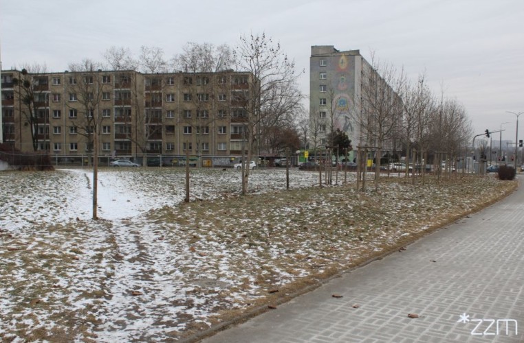 Skwer_Cieleckiej_02.2026