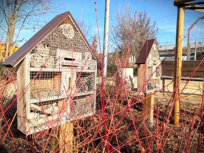 SKWER_NORWIDA_02.2026