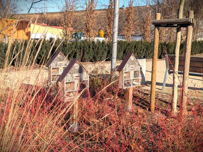 SKWER_NORWIDA_02.2026