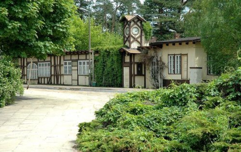 Galeria zdjęcie #282