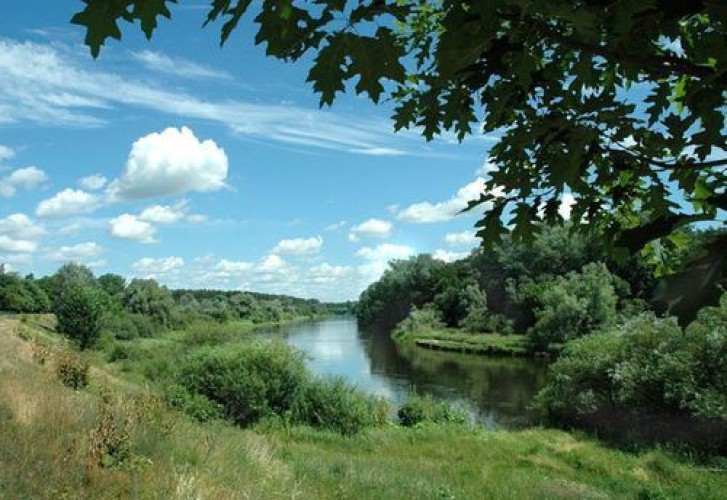 Galeria zdjęcie #275