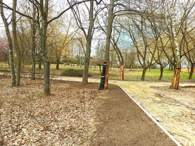 Widok budowanej ścieżki w Parku Czarneckiego. W tle drzewa z zabezpieczeniem w postaci desek.