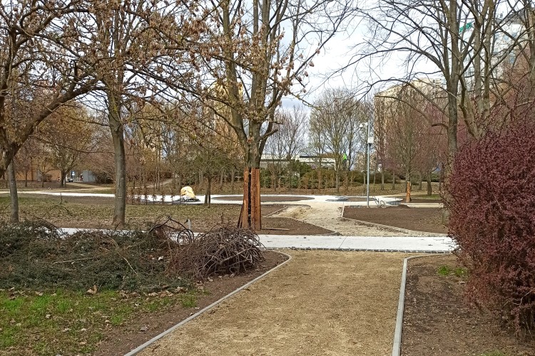 Widok budowanej ścieżki w Parku Czarneckiego.