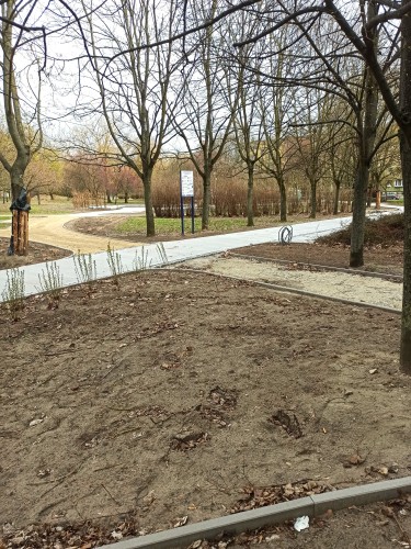 Widok budowanej ścieżki w Parku Czarneckiego.