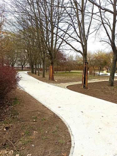 Widok budowanej ścieżki w Parku Czarneckiego.