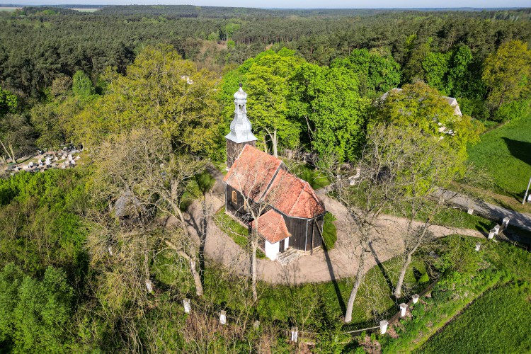 Galeria zdjęcie #157