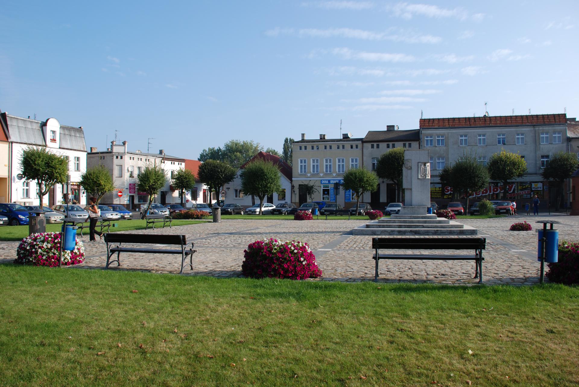 Zdjęcie Miasto i Gmina Stęszew