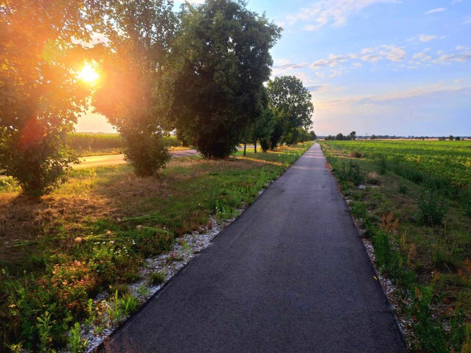 Galeria zdjęcie #167