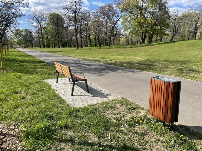 Aleja w parku wiosną, na pierwszym planie ławka, w tle szpaler drzew