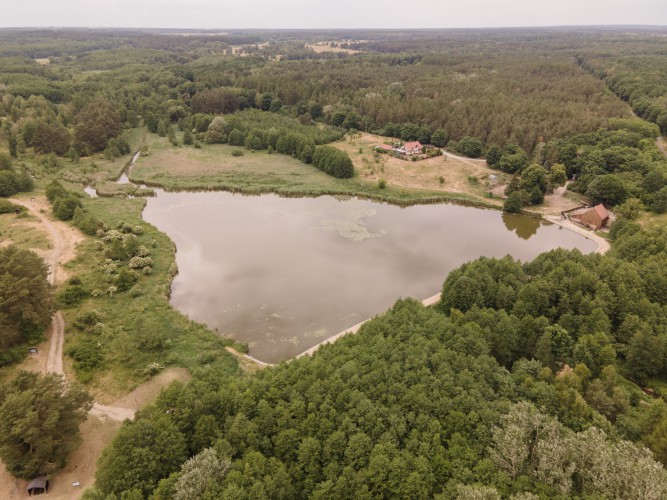 Galeria zdjęcie #174