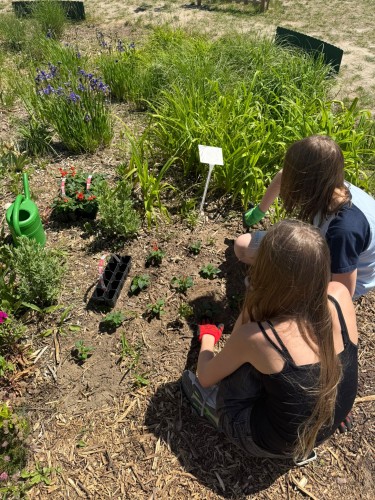 PIKNIK SP2 SUCHY LAS 27.05.2026