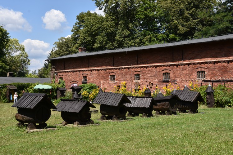 Galeria zdjęcie #184