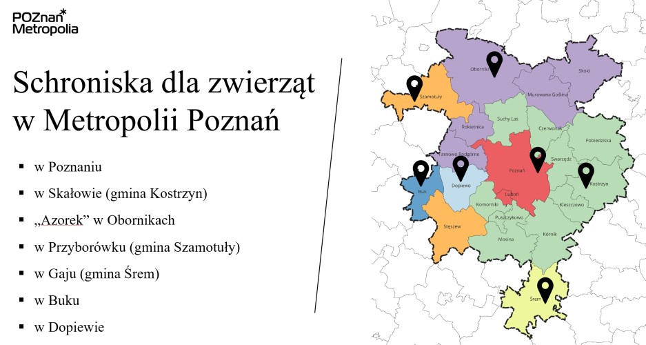 Grafika przedstawia liczbę schronisk na terenie Metropolii Poznań.