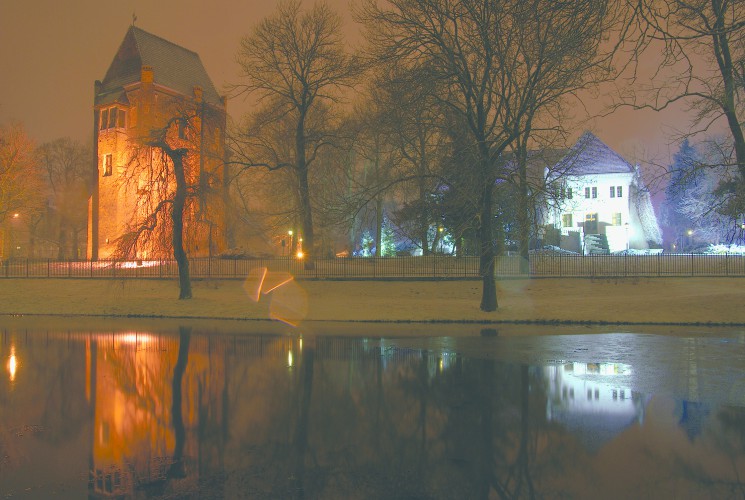 Galeria zdjęcie #204