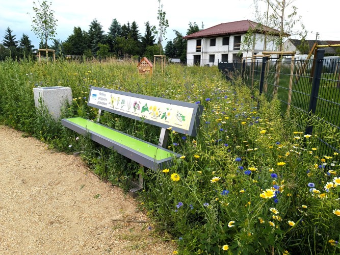 Park_Mrowino