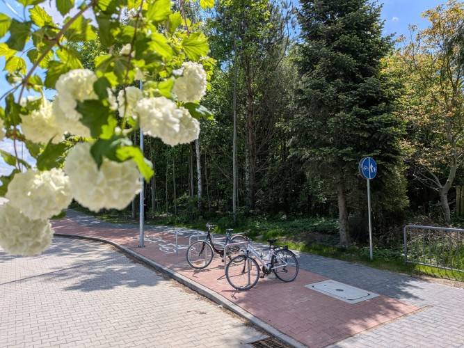 Zdjęcie przedstawiające parking dla rowerów.