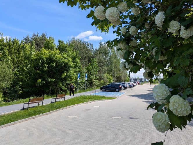 Zdjęcie przedstawiające ławki oraz parking samochodowy.