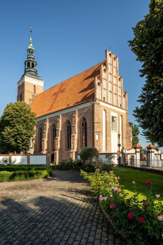 Galeria zdjęcie #219