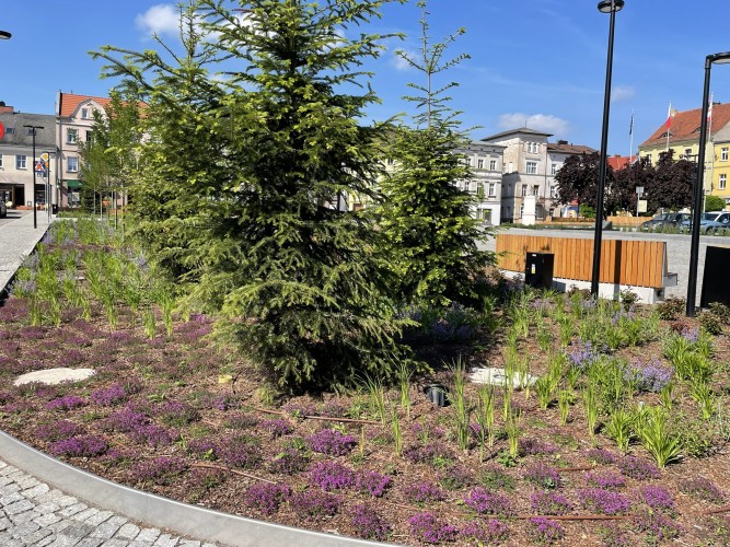 SREM Plac 20 Pazdziernika 06.2026