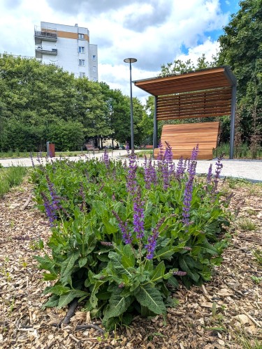 POZNAN Park Czarneckiego 05.2026