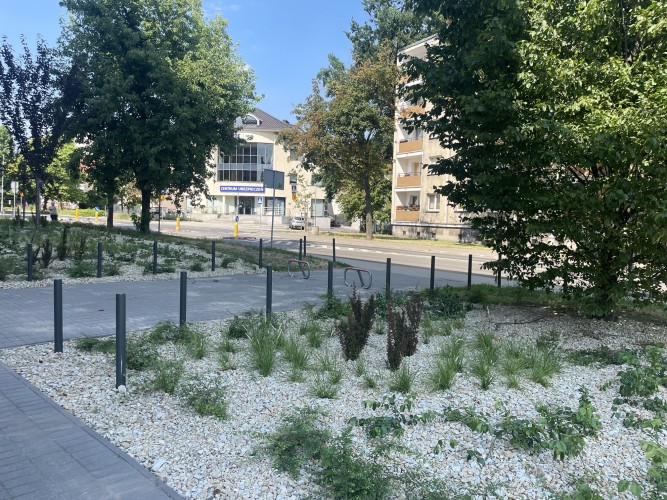SKWER_CIELECKIEJ_06.2026