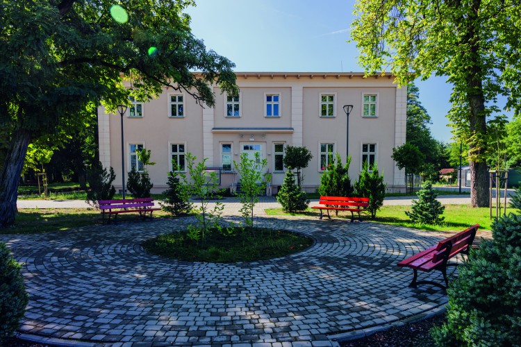Galeria zdjęcie #222