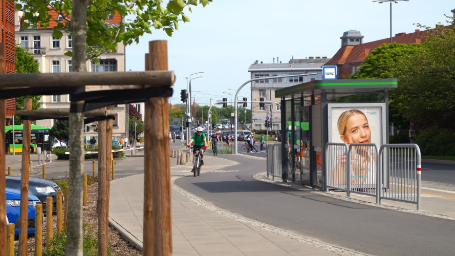 Galeria zdjęcie #547