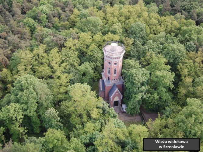 Galeria zdjęcie #236