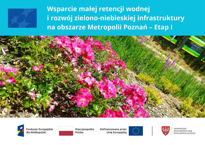 Galeria zdjęcie #611