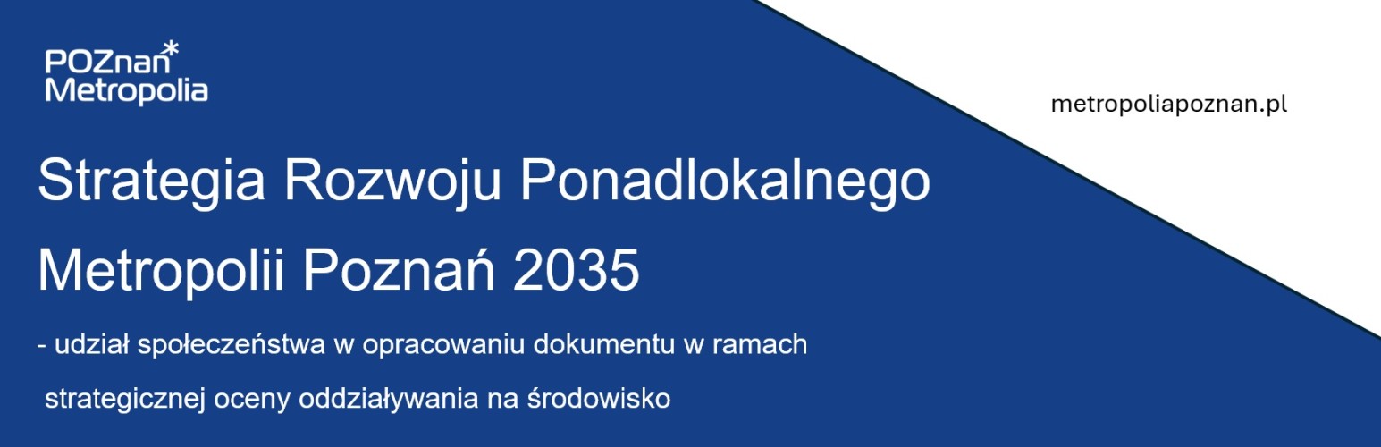 Uczestnicy konsultacji społecznych dotyczących strategii ponadlokalnej