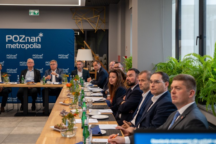 Galeria zdjęcie #735