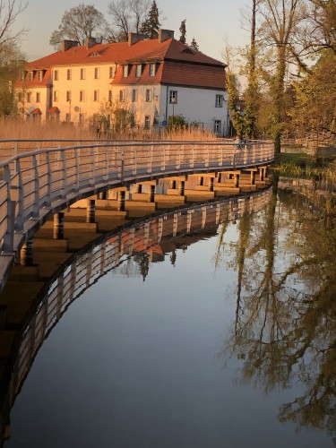 Galeria zdjęcie #70