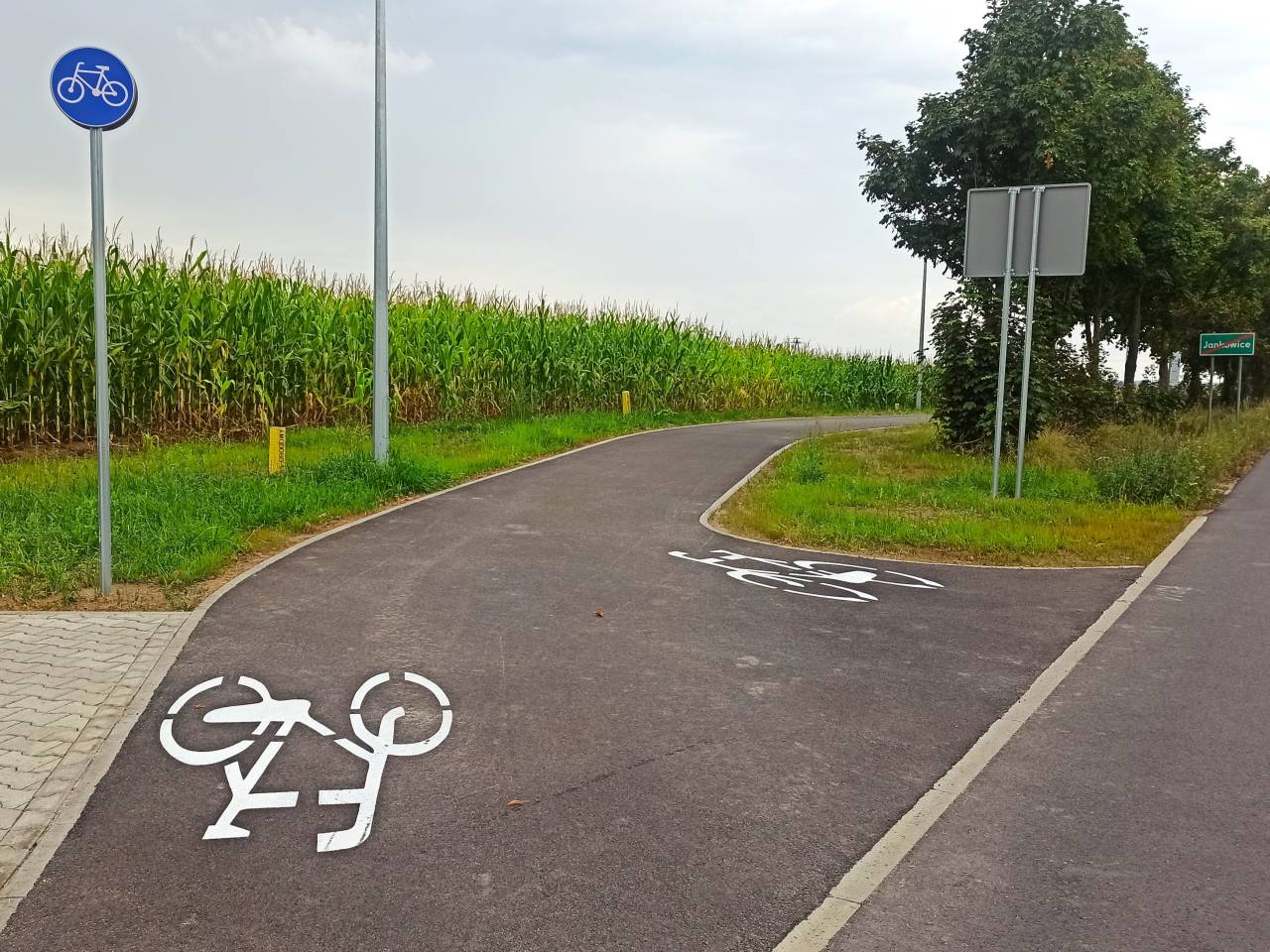 Zdjęcie Droga rowerowa Jankowice - Rumianek